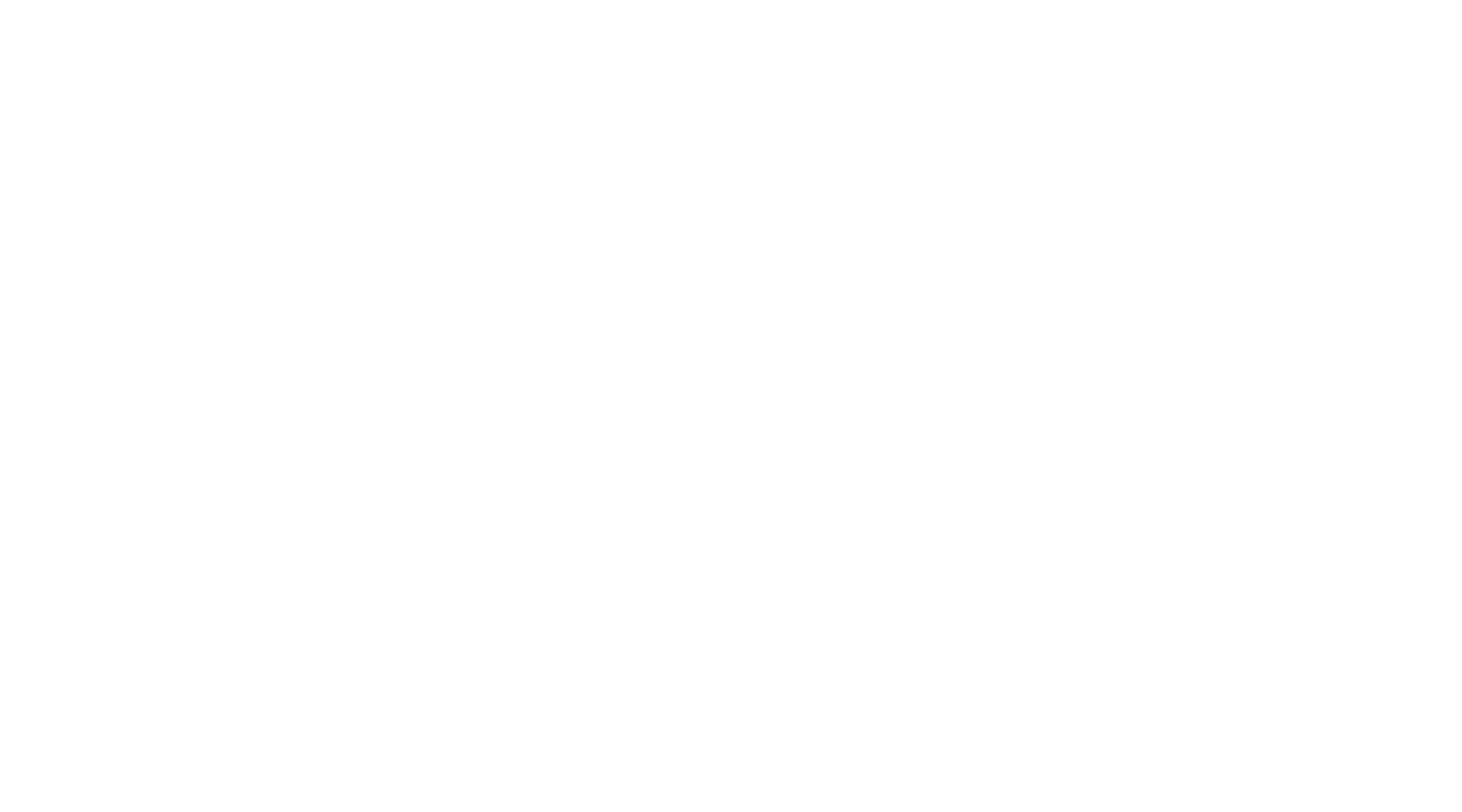 Storky Adventures