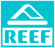 Reef
